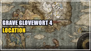 Grave Glovewort 4 Location Elden Ring [upl. by Einahpts99]