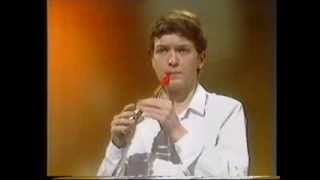 Scottish tin whistle  Scott Williams [upl. by Oicnedif565]