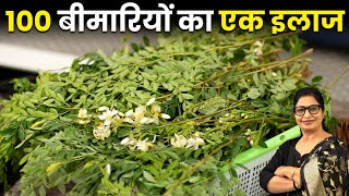 पेड़ नहीं औषधि है  बाल झड़नाबीपीशुगरमोटापा  सबका 1 ही रामबाण इलाज  3 New Winter Recipe [upl. by Kirbie]