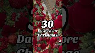 It’s 30 Days before Christmas 🎄✨🤩 Countdown to Christmas 2024 🎄 christmas christmascountdown [upl. by Devaj]