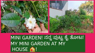 Mini GardenMiniature Garden Ideasನನ್ನ ಕೈ ತೋಟ ಪುಟ್ಟ ಕೈ ತೋಟ [upl. by Simsar138]