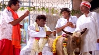 Back To Back Comedy Scenes Part  02  Evandi Aavida Vachindi Movie [upl. by Sinnelg]