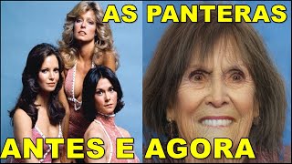 AS PANTERAS ANTES E AGORA [upl. by Ramled]