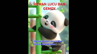 Belajar anak tentang hewan panda shorts hewan hewanlucu panda belajaranakanak [upl. by Akeirahs]