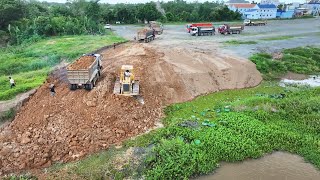 Greatest Activity dozers D60P pushed Soil with many SHACMAN delivery 25ton failloading [upl. by Einhoj84]