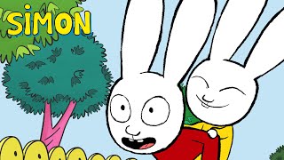 Super grand frère  Simon Superlapin  Épisode Complet Saison 1  Dessin animé pour enfants [upl. by Maurice301]