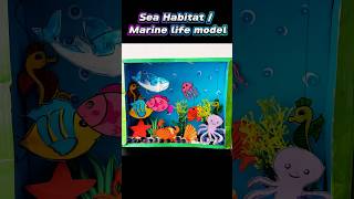 Sea Habitat model with cardboard and Paper  Marine Life model  Easy aquarium model  shorts [upl. by Ramel833]