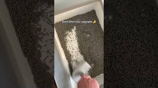 The BEST Litter Box UPGRADE [upl. by Hoppe]