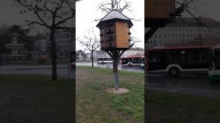 Голубятня Домик для голубей в Германии Dovecote Pigeon house in Germany [upl. by Gainer]