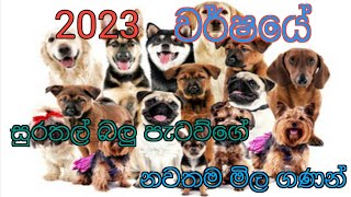 2023 වර්ෂයේ සුරතල් බලු පැටවුගේ නව මිල ගණන්💘💘💘🐕🐕🐕Current prices of puppies in Sri Lanka [upl. by Atisusej]