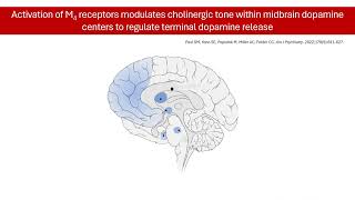 Schizophrenia Treatment Revolution Introducing Xanomeline Potential and Latest Updates [upl. by Ttebroc]