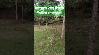 islam।জান্নাতে যেই তিনটি জিনিস থাকবেনাআল্লাহ বলেছেন। [upl. by Malissia]