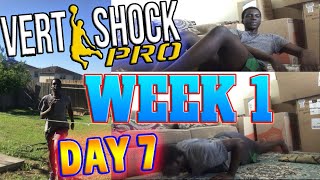 LAST DAY Of Week 1VERT SHOCK Pro Pre Shock PhaseWeek 1 Day 7FOLLOW ALONG [upl. by Gitel]