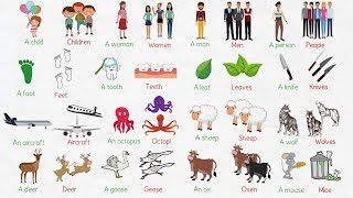 Irregular Plural Nouns in English  Singular and Plural Nouns [upl. by Katine]