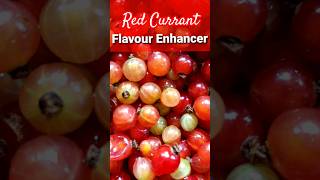 Red Currant Flavour Enhancer [upl. by Clarence838]