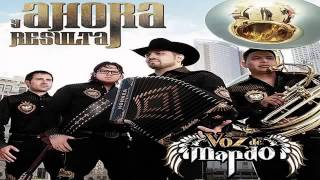 Voz De Mando El Mayor 20122013mp4 [upl. by Aeslahc699]