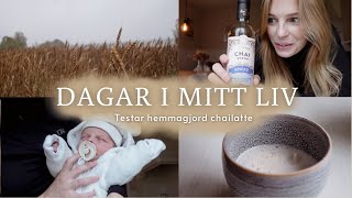 LIVET SOM NY MAMMA👶🏼🍼  Hemmagjord chailatte nya rutiner amp mysiga höstdagar 🤎🍂 [upl. by Given]