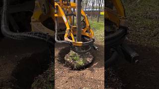 didingmachine treecuttingservice treedidingmachine treeremoval treedidingvideo [upl. by Darum400]