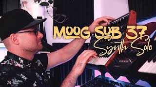 Moog Sub37 Synth Solo Goodness  Mike Pensini [upl. by Arukas]