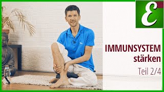 Immunsystem stärken Verdauungsenergie Qi Gong amp Akupressur 24 [upl. by Eidnim909]