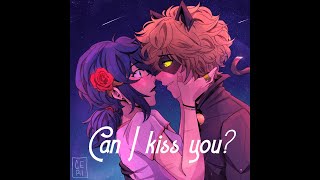 Can I kiss you A miraculous Fanfiction  Chapter 6 [upl. by Ssirk455]