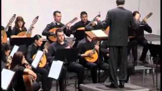 Humoreske Dvorak Orquesta de cuerda pulsada Cecilio Gallego [upl. by Acinoda282]