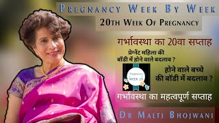 गर्भावस्था का 20वा सप्ताह  20th Week Of Pregnancy  गर्भावस्था सप्ताह दर सप्ताह [upl. by Spanjian]