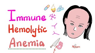 Immune Hemolytic Anemia intro [upl. by Tteve23]