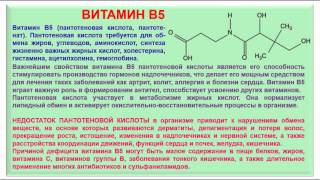 № 192 Органическая химия Тема 28 Витамины Часть 10 Витамин В5 [upl. by Iveksarap]