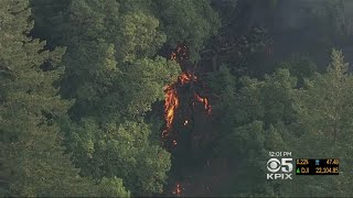 Lightning Strike During Night Of Wild Weather Starts Fire In Woodside [upl. by Ganny959]