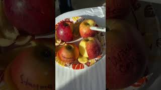 Apples in Kentucky Aztec Fuji Wine Crisp Stayman Winesap and Crimson Crisp [upl. by Woolcott]