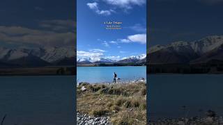 5 Day Trips from Christchurch New Zealand newzealandlife christchurch newzealandvlogs [upl. by Anyala]