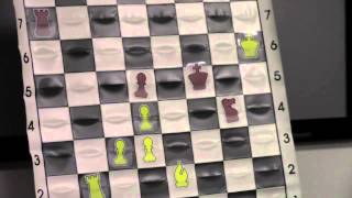 Chess for Beginners with GM Ronen HarZvi  20130203 [upl. by Simonne397]