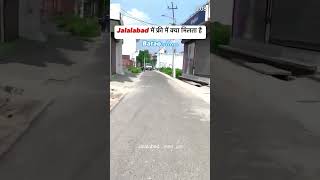 I LOVE JALALABAD❣️❣️❣️ जलालाबाद में फ्री में क्या मिलता है  viral shorts [upl. by Sima]