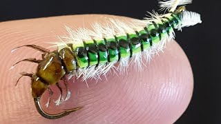 Fly Tying a Caddis Larva [upl. by Rhea255]