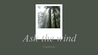 Candentia  Ask the wind Lyrics [upl. by Gilemette818]