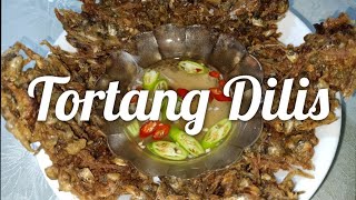 TORTANG DILIS  TIPID ULAM RECIPE  MABILIS AT MADALING LUTUIN   Misstalynee [upl. by Noby]