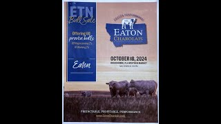 EATON CHAROLAIS BULL SALE [upl. by Hamid]