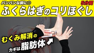 【毎日5分】ふくらはぎをスッキリほぐすルーティン【疲労回復むくみ解消柔軟性UPマッサージ効果】 [upl. by Bocock]