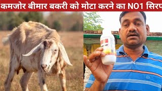 25 दिन में कमजोर बीमार बकरी को मोटा बनाएं  Bakri ko mota karne ka syrup kamjor sick goat [upl. by Folsom]