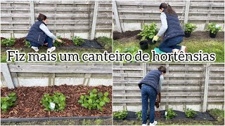 Fiz um canteiro de hortênsias brancas  Vlog [upl. by Odlareg797]