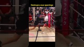 Destruye a sus sparrings no quedrás ser su sparring boxing [upl. by Ennazus]