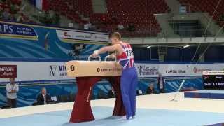 Nile Wilson  GOLD  pommel horse  Event Finals  2014 Junior Euros [upl. by Docilu]