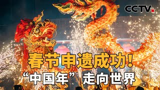 期待值拉满！第一个“非遗版”春节要来了，会有什么不同？ CCTV「新闻11」20241206 [upl. by Lebisor]