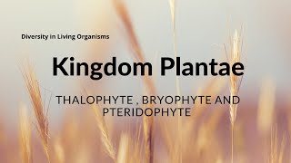 Thallophyte  Bryophyte amp Pteridophyte  Biology  Science [upl. by Avron524]