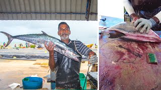 Seer Fish And Skipjack Tuna Cutting [upl. by Mandych]