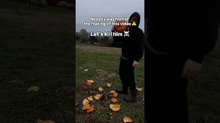 I’ve killed 20 pumpkins this year 🎃☠️pumpkin fyp fypシ゚viral funny november [upl. by Benenson]