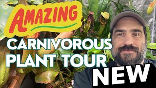 Amazing Carnivorous Plant Tour With Big Updates [upl. by O'Neil]