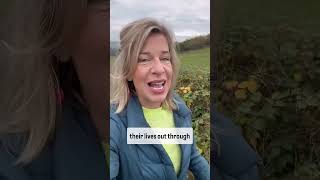 Katie Hopkins Bonkers Britain 30th October [upl. by Evangeline328]