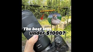 Canon RF 100400mm f568 IS USM Lens review [upl. by Aisela]